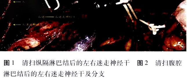 未标题-3